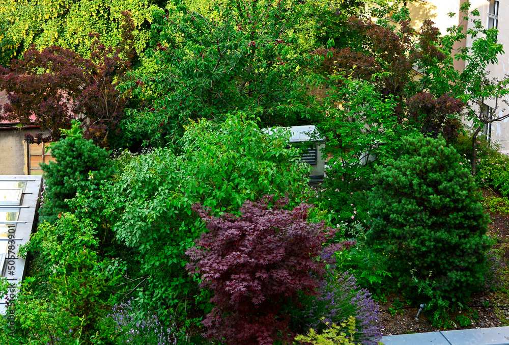 ogród na dachu, drzewa ozodbne i owocowe, zielone krzewy - obrazy, fototapety, plakaty 