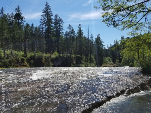 river in the forest