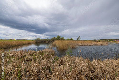 Beautiful view of pond with dry tall grass on cloudy spring day against backdrop of clouds. Sweden.