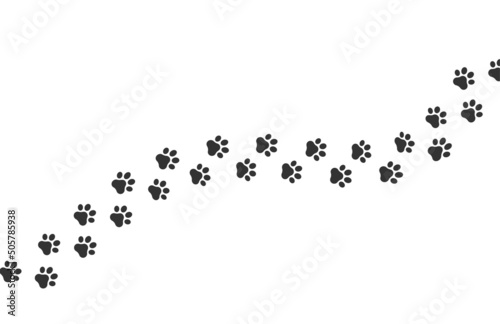 Dog footprint vector way. Cat footprint icon isolated pet silhouette path print
