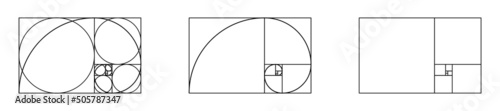 Golden ratio spiral. Golden Fibonacci proportion section with line and grid in rectangle. Fibonacci ration pattern geometry design, logo, background. Vector. Divine math squares with circles