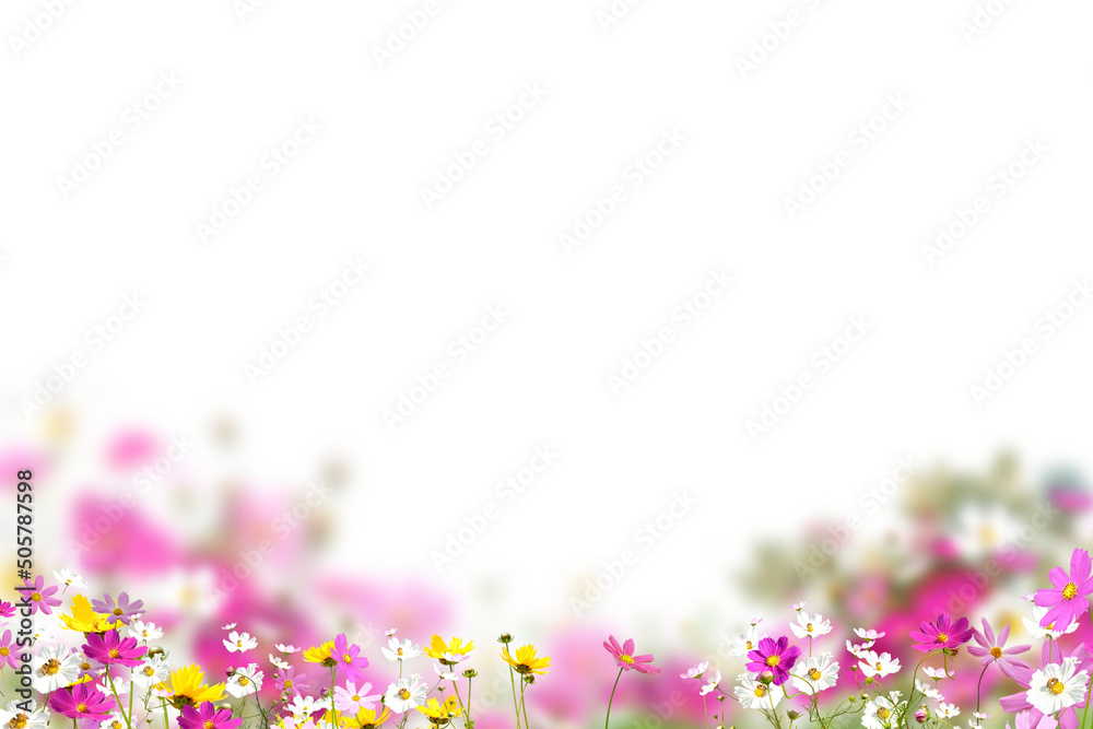 Flower Overlays Png Best Flower Site Flower Overlays Png Best Flower Site