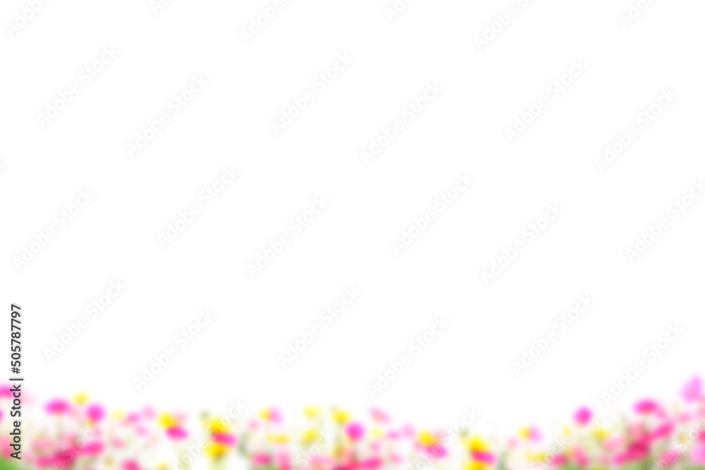 Flower Photo Overlay, grass summer spring flowers, Photoshop overlay, png Flower Photo Overlay, grass summer spring flowers, Photoshop overlay, png