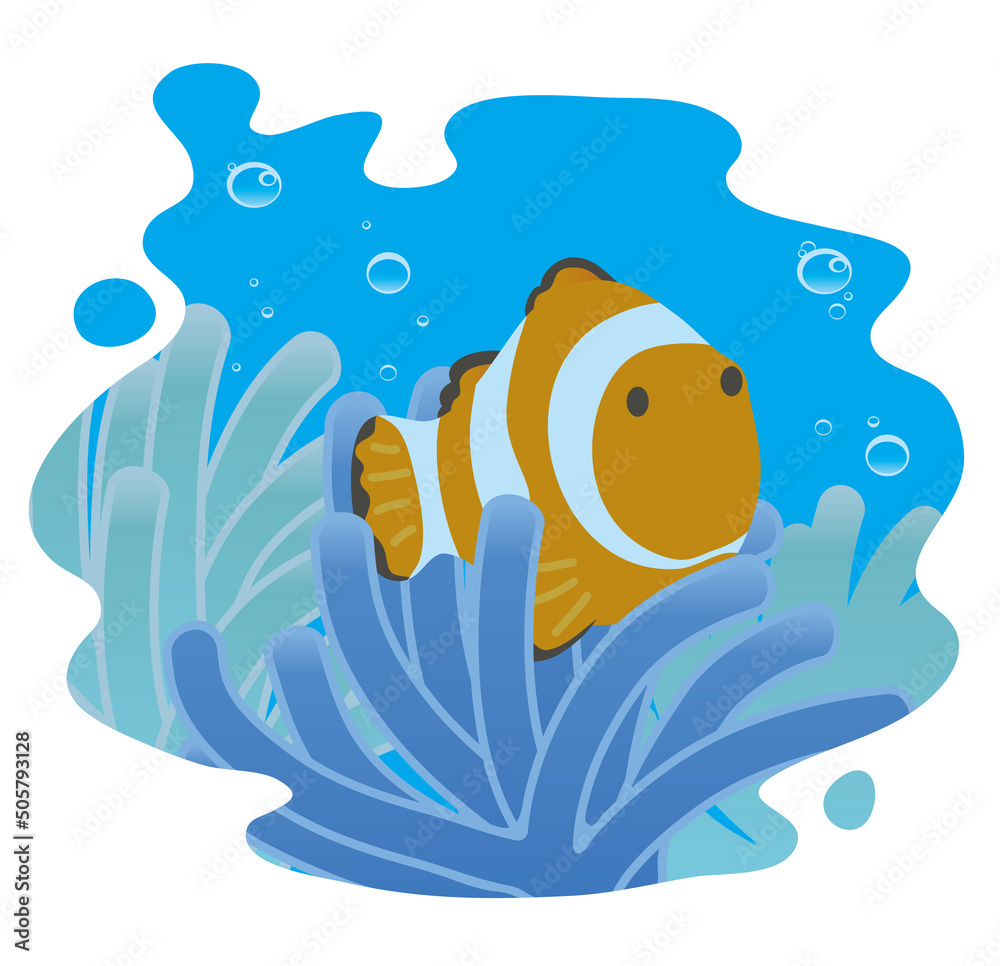 海の中のイソギンチャクに隠れるクマノミ Stock ベクター Adobe Stock