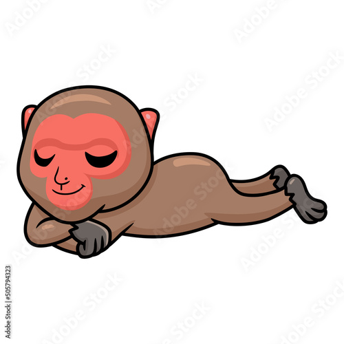 Cute little japanese macaque cartoon sleeping