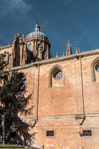 The New Cathedral of Salama...