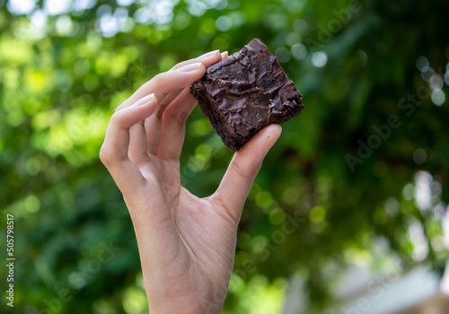 Close-up of hands holding chocolate brownies on blurry leaf background
