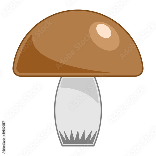 white mushroom isolated cartoon style isolated