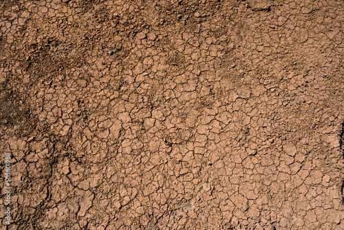 Detail shot of cracked dried mud photo