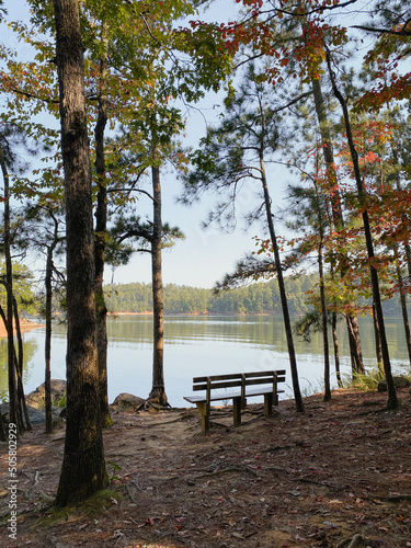 bench in park