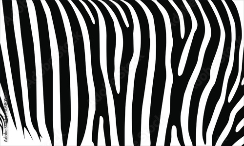 Zebra Motifs Pattern. Animal-Print Series. Vector Illustration