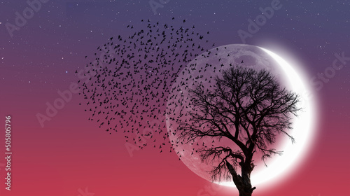 Silhouette of birds with lone dead tree and new moon against amazing sunset "Elements of this image furnished by NASA" © muratart