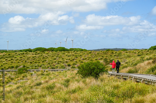 coastal boardwalk with wind turbines