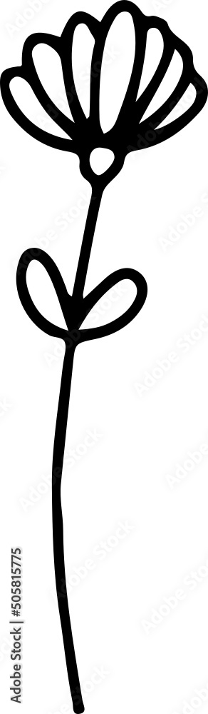 collection forest fern eucalyptus art foliage natural
leaves herbs in line style. Decorative beauty, elegant illustration
for design: Vector flower Botanical collection forest fern eucalyptus art foliage natural
leaves herbs in line style. Decorative beauty, elegant illustration
for design: Vector flower Botanical