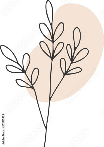 collection forest fern eucalyptus art foliage natural leaves herbs in line style. Decorative beauty  elegant illustration  for design  Vector flower Botanical