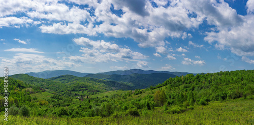 Summer landscape. The low hills are covered with fresh greenery. Light clouds in the blue sky. May in the Ukrainian Carpathians