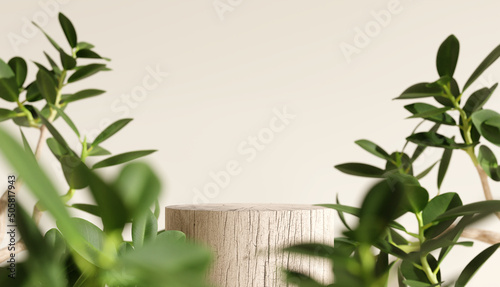 Wooden product display podium with blurred nature leaves on brown background. 3D rendering #505817943