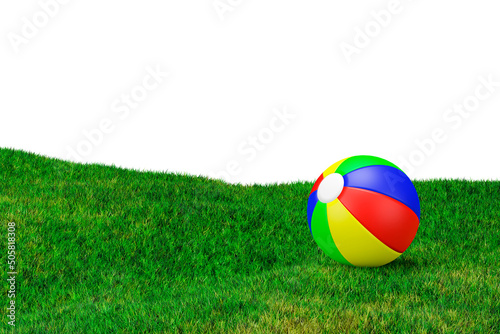 3d render illustration of a summer toy ball on grass meadow.