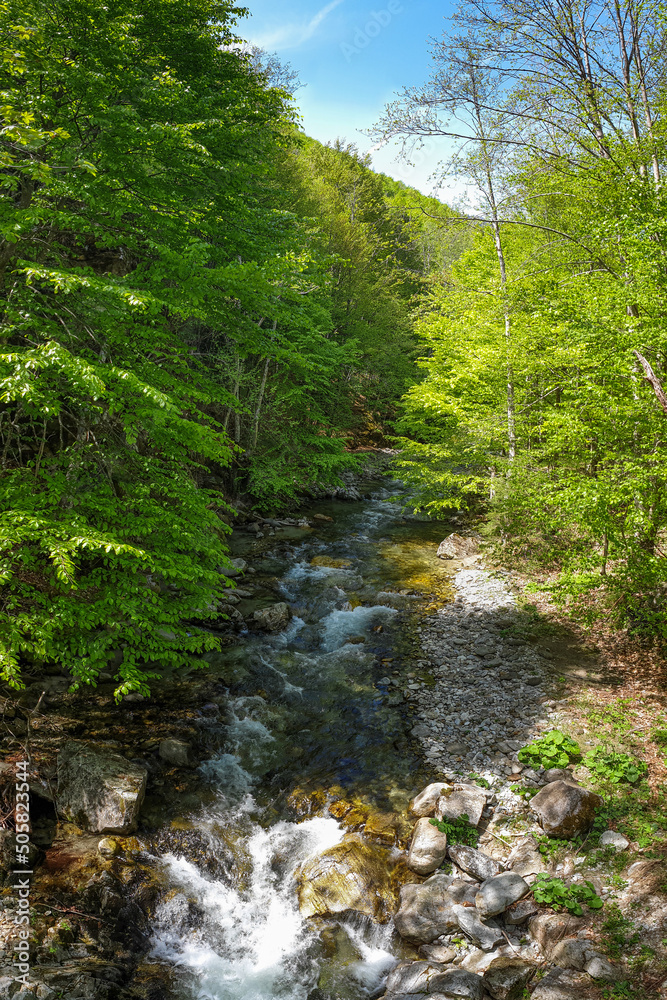 River in the mountain forest landscape - Romania, Oltetului Keys River in the mountain forest landscape - Romania, Oltetului Keys