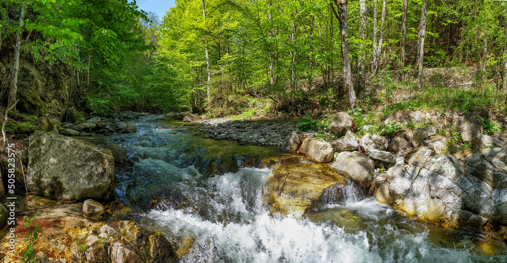 Obraz premium River in the mountain forest landscape - Romania, Oltetului Keys