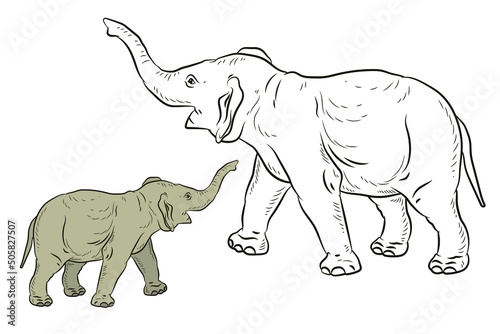 Animals. Black and white image of a large elephant, coloring book for children. Vector image.