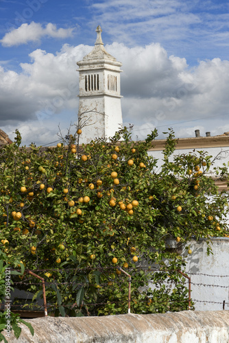 orange tree and traditional openwork chimney on a roof in Faro, Algarve, Portugal