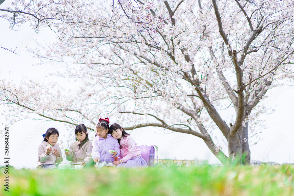 桜の木の下でピクニックをする小さな女の子たち 桜の木の下でピクニックをする小さな女の子たち