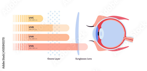 Uv rays and visible light healthcare infographic. Vector flat illustration. UVA, UVB, UVC lights go and reflect by ozone layer and sun block lens to eye ball. Design for uv awareness month. photo