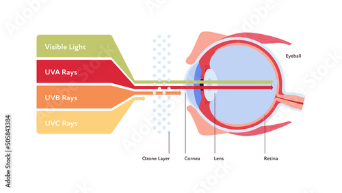 Uv rays and visible light healthcare infographic. Vector flat illustration. UVA, UVB, UVC lights go through ozone layer to eye ball. Design for uv awareness month and ophthalmology.