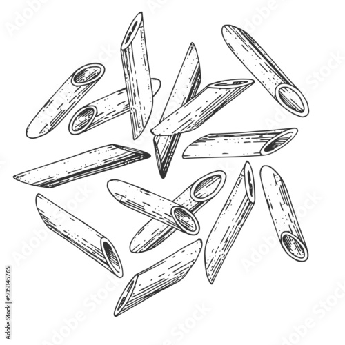 Collection of vector pasta Penne Rigate. Hand-drawn  sketches. Vintage style engraving