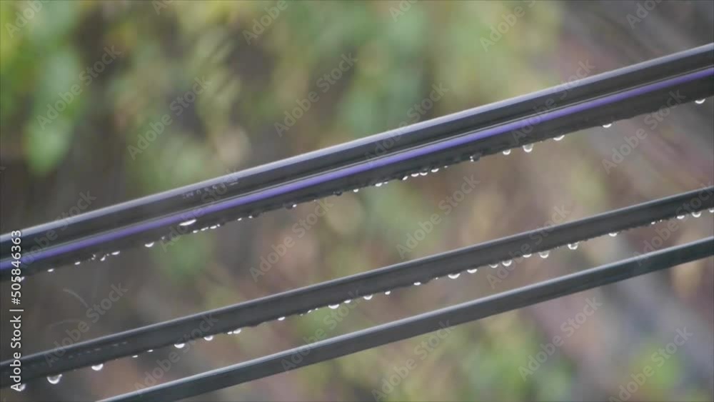 rain drops on the electric wire rain drops on the electric wire