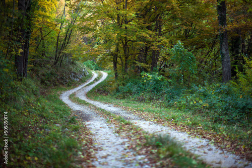 Country Road
