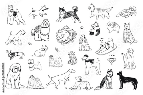 Dogs funny pets vector illustrations set