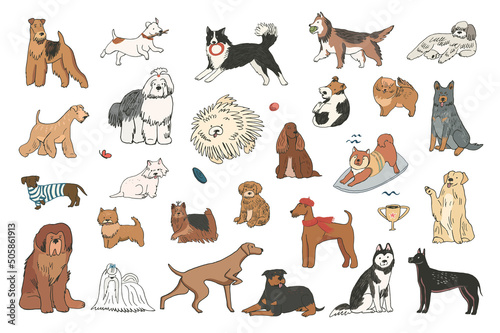 Dogs funny pets vector illustrations set