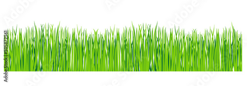 Green grass isolated transparent background. Horizontal green lawn vector set. Realistic illustration of green lawn, border or meadow. Cartoon vector illustration.
