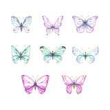 Watercolor set of butterflies on a white background