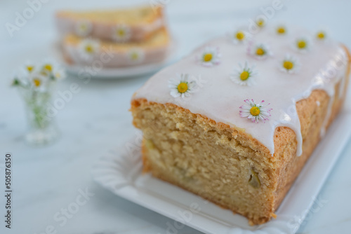 vanilla sponge cake photo