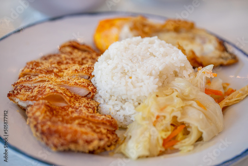 Curry Rice Singapore Style with scissors cut fried chicken fillet , vegetables, eggs 