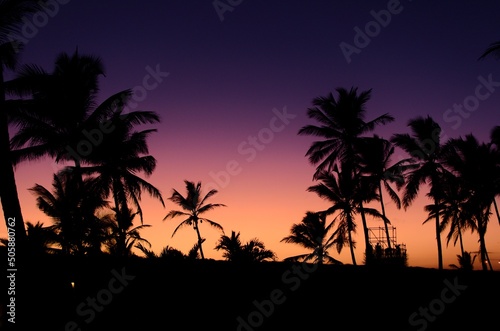 palm trees at sunset © Emmanuel