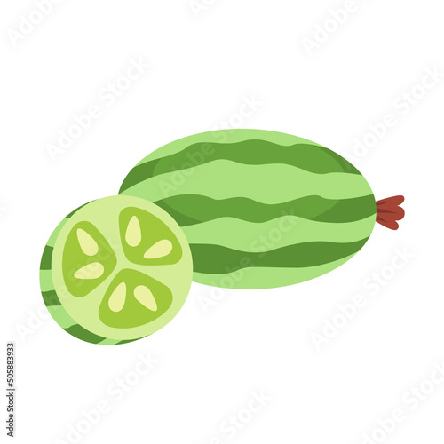 Mouse melon whole fruit and half sliced isolated on white background. Melothria scabra, cucamelon or Mexican sour gherkin icon for package design. Vector illustration of exotic fruits in flat style. photo