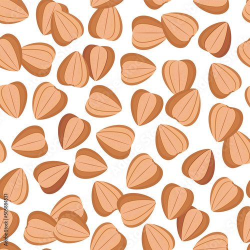 Buckwheat seeds. Color vector seamless pattern.