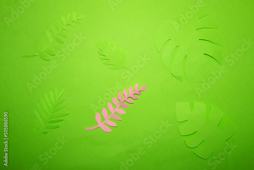 green background with green jugnle leaves and one pink leaf paper twig, creative art design, break the pattern
 photo