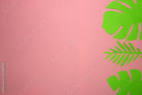 green jungle leaves on the right pink background, creative torpical design, copy sapce, trendy colors
 photo