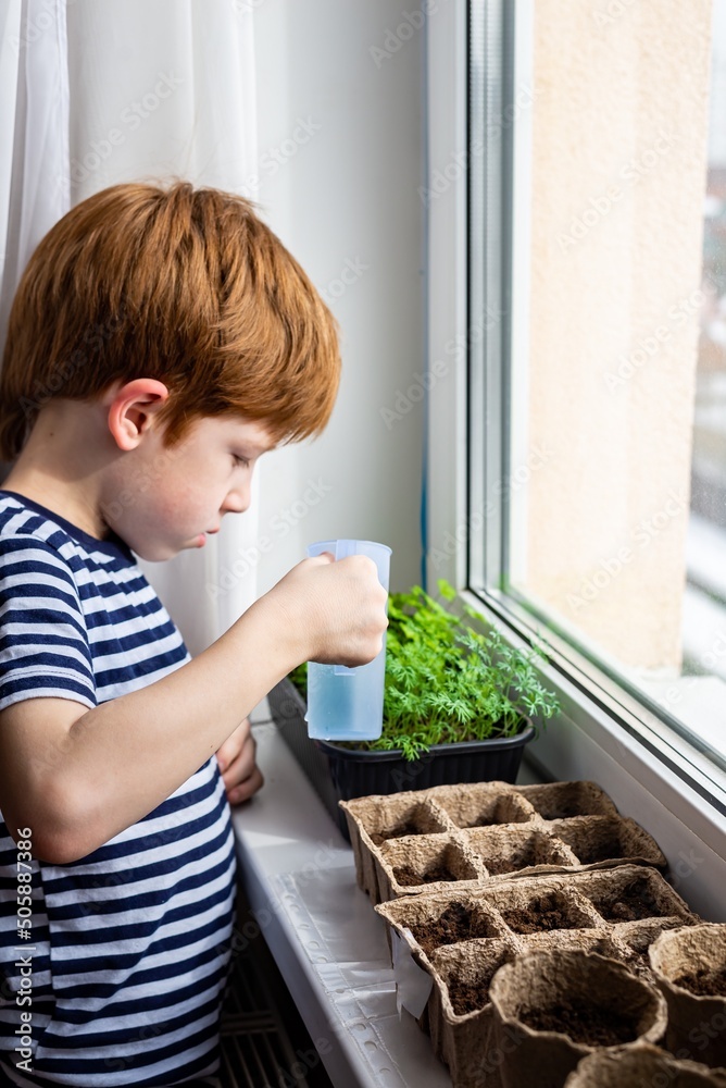 Adorable redhead boy watering a potted plant on the windowsill, the concept of learning to grow plants for preschoolers and teaching children about trees in nature, vertical photo Adorable redhead boy watering a potted plant on the windowsill, the concept of learning to grow plants for preschoolers and teaching children about trees in nature, vertical photo