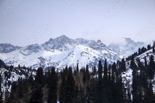 Snow-covered rocky mountains with rocky peaks in a high mountain gorge, low cloud, forest in the foreground, winter, cloudy