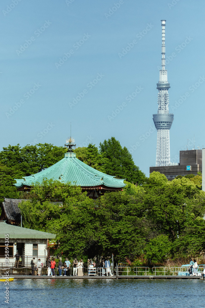 Φωτογραφία 東京、上野公園の不忍池、弁天堂、東京スカイツリーが見える風景