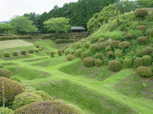 山中城跡の障子堀, Shoji Moat in Yamanaka Castle, Mishima City, Shizuoka Prefecture, Japan photo