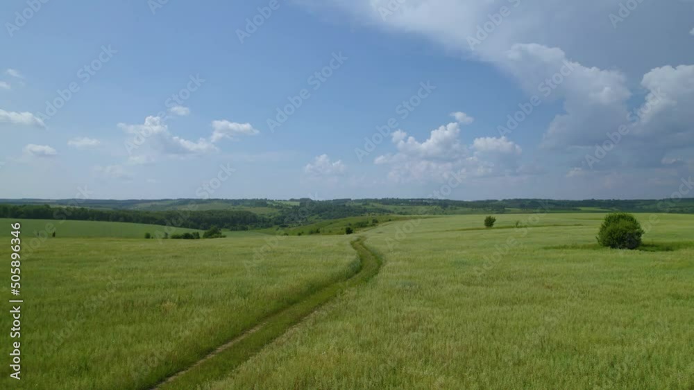 A large agricultural field in which oats and other grain crops are grown. Huge farmland with plantations for animal feeding. Green pastures in an ecologically clean area. A large agricultural field in which oats and other grain crops are grown. Huge farmland with plantations for animal feeding. Green pastures in an ecologically clean area.