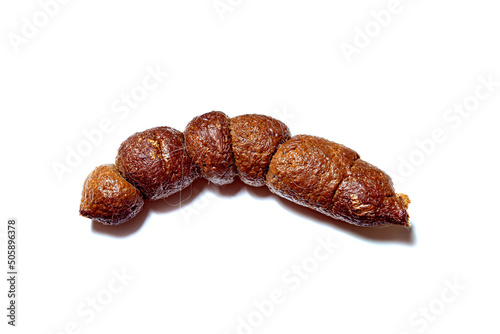 smelly defecate animal, dog excrement with clipping path isolated on white background, close-up poop top view.
