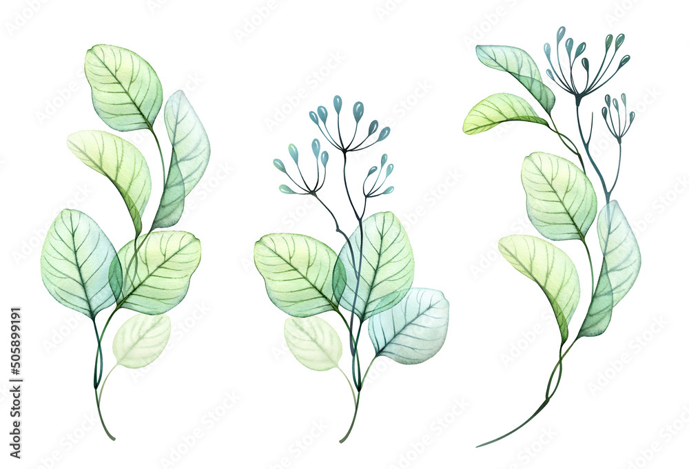 Watercolor Eucalyptus branches set. Big collection of hand painted botanical illustrations isolated on white. Abstract Transparent vertical bouquets collection Watercolor Eucalyptus branches set. Big collection of hand painted botanical illustrations isolated on white. Abstract Transparent vertical bouquets collection